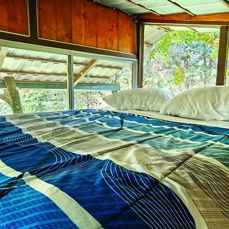 Cabana Treehouse Mountain View San Isidro  외부 사진
