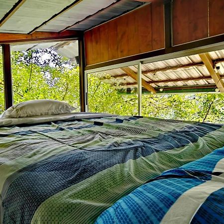 Cabana Treehouse Mountain View San Isidro  외부 사진