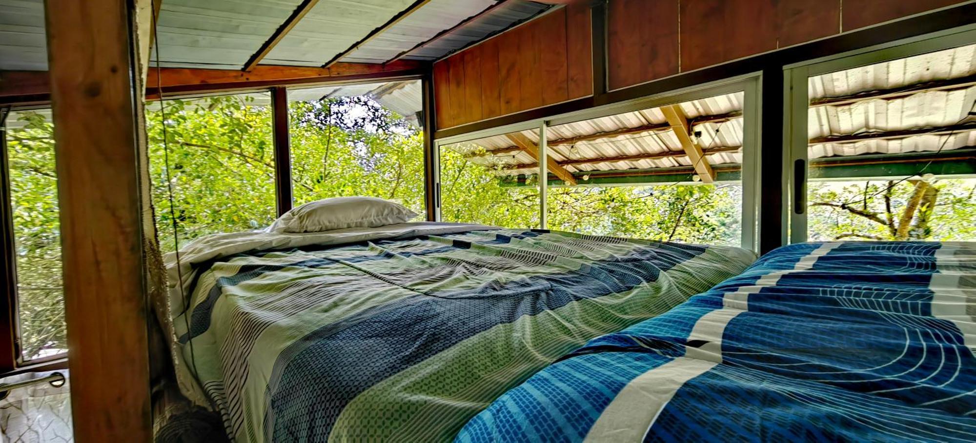 Cabana Treehouse Mountain View San Isidro  외부 사진