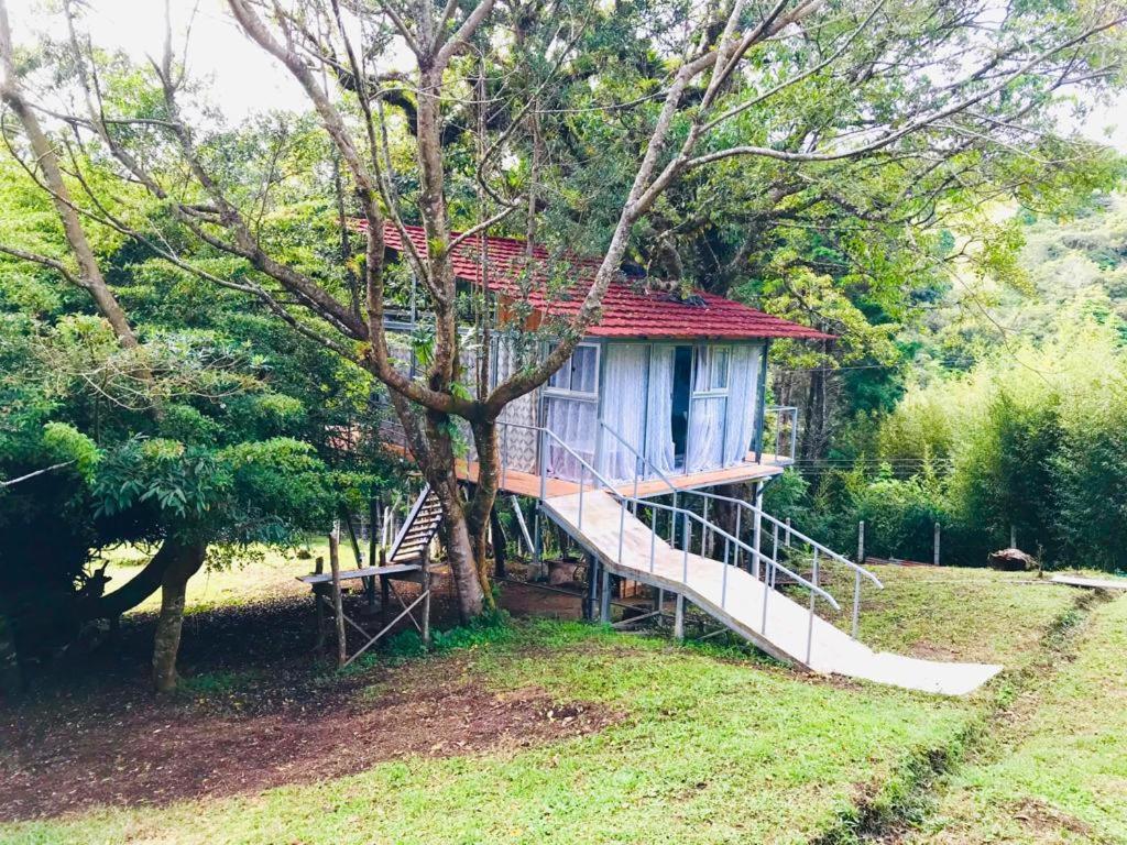 Cabana Treehouse Mountain View San Isidro  외부 사진
