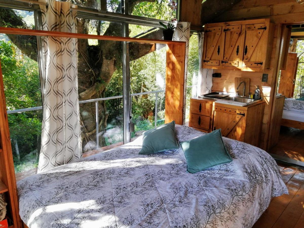 Cabana Treehouse Mountain View San Isidro  외부 사진