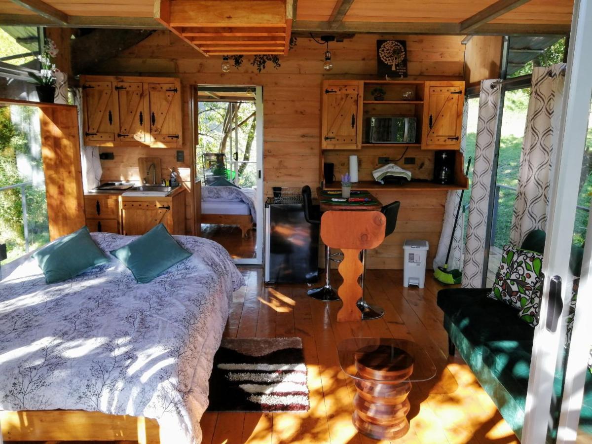 Cabana Treehouse Mountain View San Isidro  외부 사진